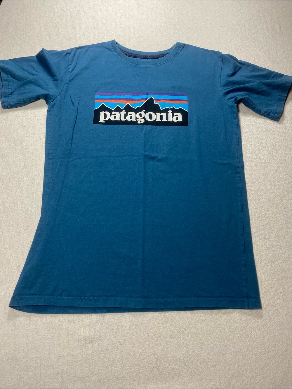 Patagonia Blue Short Sleeve Logo Tee XXL with Multicolor Stripe